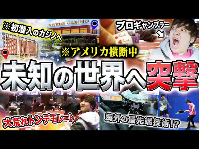 ヨコサワ プロポーカーセット 世界のヨコサワ ポーカーセット - メルカリ