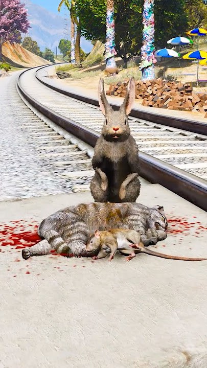 Dogs teach us love in its purest form | Part 888🥺|