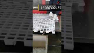 chicken breeder plstic slat flooring big hole 50*25mm