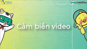 Học lập trình cùng Codekitten  - Cảm Biến Video | Lập trình Scratch thuần Việt