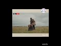 إيه حكاية حوش الغجر حنان فاروق حكاية حارة