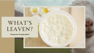 Passover Preparation: The Correct Way To Remove Leaven