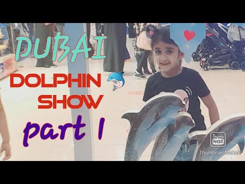 Dubai Dolphin 🐬 show/Dubai creek park/Dolphin show part 1