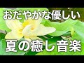 【癒しBGM】心が落ち着くリラックス音楽、自律神経を整え不安やストレス解消のためのヒーリングミュージック/睡眠用・作業用・勉強用BGM