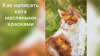 Как Писать Кота Маслом