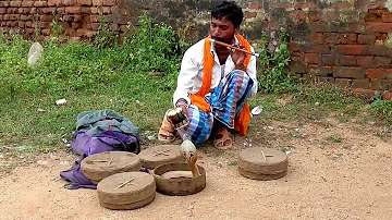 इस मदारी ने दिखाया सांप का खेल || Street Performer & Cobra Snake Show.