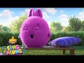 GOOD MORNING SONGS! | SUNNY BUNNIES SING ALONG COMPILATION | Cartoons for Kids | Nursery Rhymes