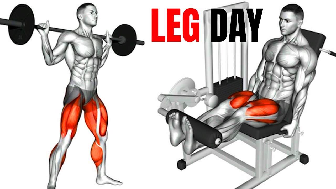 Perfect Leg Day Workout💪| Lower Body Workout For Muscle Growth - YouTube