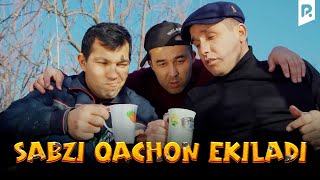 SABZI QACHON EKILADI | Elbek Shukurov