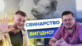 СКІЛЬКИ КОШТУЄ ВИРОСТИТИ СВИНЮ?