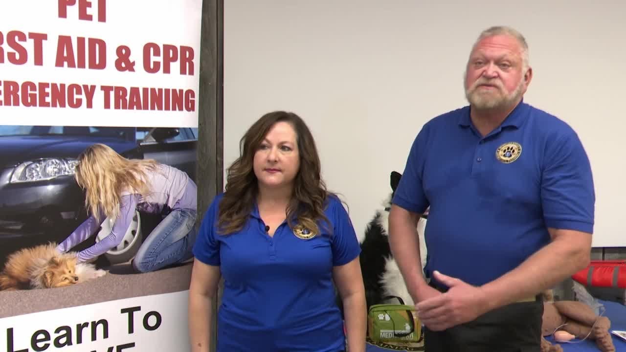 K9 CPR and safety class takes place Saturday as Montana K9 Safety visits Billings YouTube