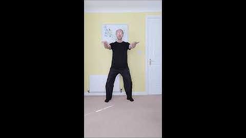 Yang Style 8 Step Form Part 13 Closing Form for beginners with basic instruction - Sifu Paul Nathan