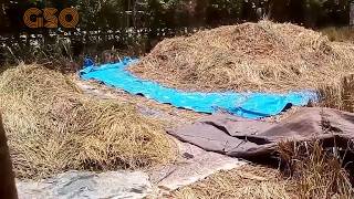 Lagu daerah Jari sepuluh