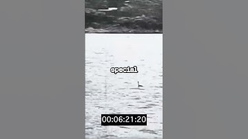 The submarine that can launch FIGHTER JETS