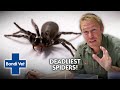 Up Close & Personal with Australia's DEADLIEST Spiders | Full Episode | The Wildlife of Tim Faulkner