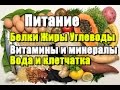 ЦИКЛ О ПИТАНИИ.  Белки. Жиры. Углеводы. Минералы и витамины. Вода и пищевые волокна.