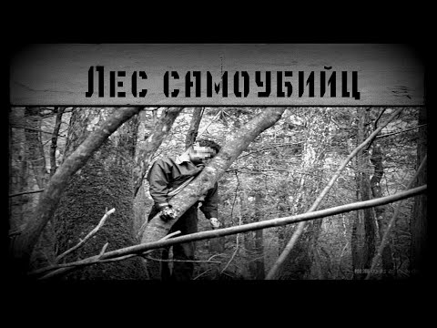 Страшные истории на