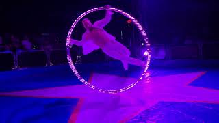 Cyr Wheel Performance | Miami Youth Fair Circus Spins &amp; Dazzles the Crowd #extreme #cyrwheel #circus
