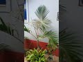shreya ___@shri