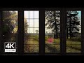 4k countryside morning sunrise ambience window view with nature sounds   relaxing calming sunset