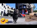Billi ki badmashi funny | GTA V |