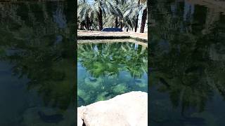 The Garden Of Salman Al Farsi (R.A) ahlemaidinah makkah madinah