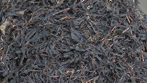 ĐA DẠNG MÔ HÌNH CHUỖI LIÊN KẾT SẢN XUẤT NÔNG NGHIỆP