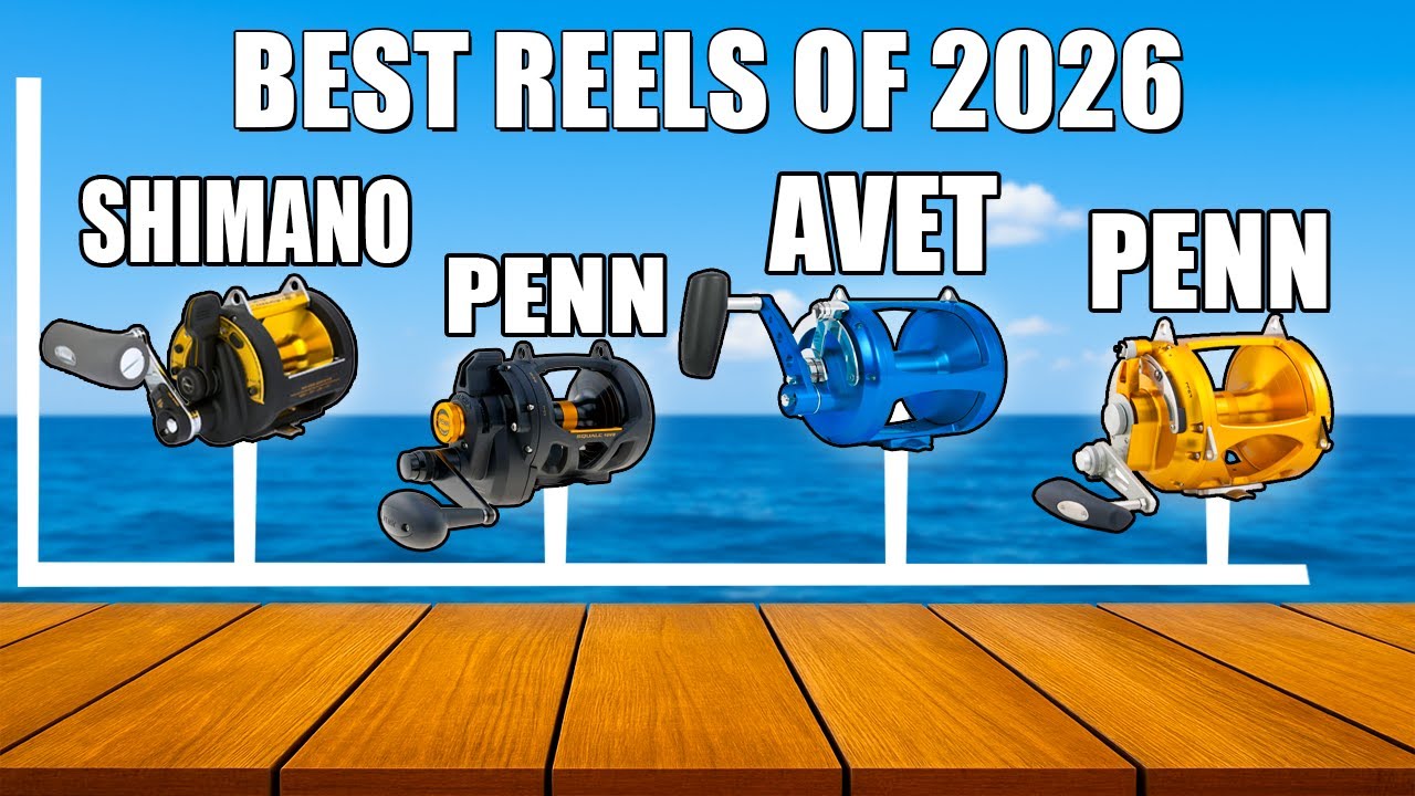 best big game saltwater reels Jigging Fishing Reel CNC Machined 2 Speed 44lb Lever Drag Deep Sea Boat Trolling Fishing : Sports & Outdoors Penn International Penn Reels Best