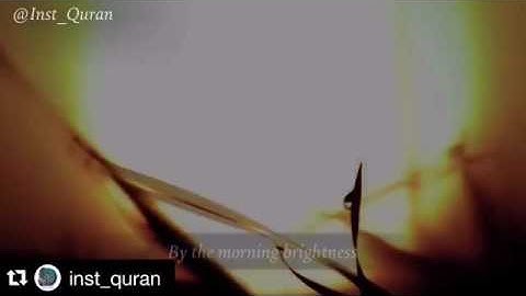 محمد نقيب- سورة الضحى Mohammed naqeeb surat-Althuha