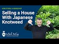 How To Sell A House With Japanese Knotweed | Mark King Properties