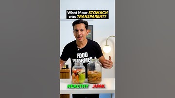 If humans had transparent stomachs?