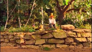 PETTERSSON & FINDUS | Offizieller Trailer | Jetzt als DVD, Blu-ray und VoD!