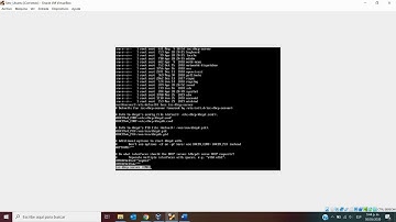 Configuración Linux Server (DNS, DHCP)