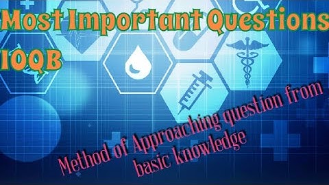 Most Important Questions for IOQB Part 1, How to approach question,NSEB ,IOQB part1, 2021 solution