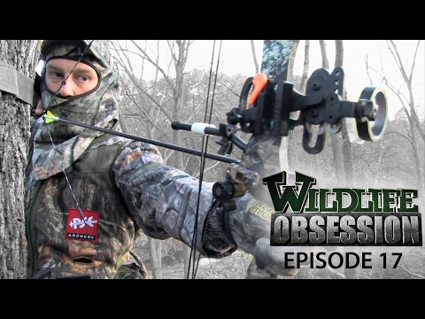 Wildlife Obsession Ep. 17 (Mark Drury | Chris Ogle | Zach Playle) - Wildlife Obsession Ep. 17 (Mark Drury | Chris Ogle | Zach Playle)