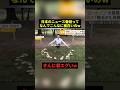 日本のニュース番組がおもろすぎるw #すごい #お笑い