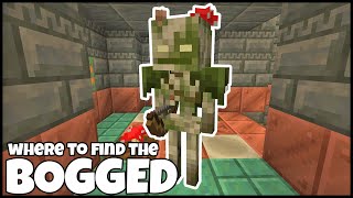 Where To FIND The BOGGED In MINECRAFT