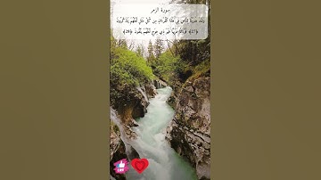 قرآنا عربيا غير ذي عوج لعلهم يتقون | سورة الزمر #دعاء_ورسالة