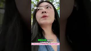 Rumah Putri Duyung Taman Ajaib Penuh Kejutan Malam Hari