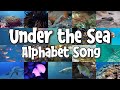 Under the Sea Alphabet Song | Ocean Animals | Ocean Life A to Z | ABC Learning Song for Kids | ABCs