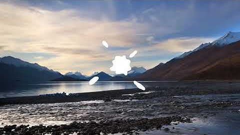 Liquid Motion Shapes | After Effects | After Effects Elements - Envato elements