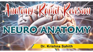 Neuroanatomy Rapid Revision Dr Krishna Sahith