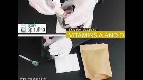 GFOXX Spirulina with Probiotics : The (4) Four Ways Test