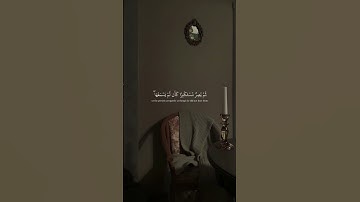 أكتب شيئاً تؤجر عليه 🤍 #قرآن #سورة_الجاثية #ياسر_الدوسري #quran #explore