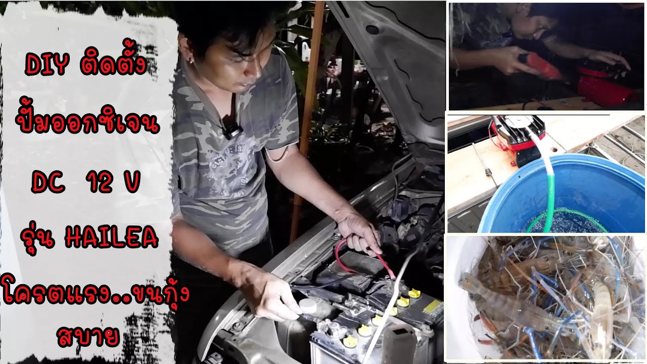 DIY ติดตั้งปั๊มอ๊อกซิเจน Dc 12v ต่อไฟแบตเตอรรี่รถตนต์ รถขนกุ้ง ขนปลา รุ่น hailea