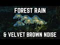 Forest rain and velvet brown noise  12 hours  black screen  no midway ads