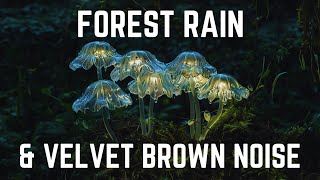 FOREST RAIN AND VELVET BROWN NOISE | 12 hours | Black Screen | No Midway Ads