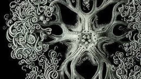 Vector Calculus - Wedge Product - Practice