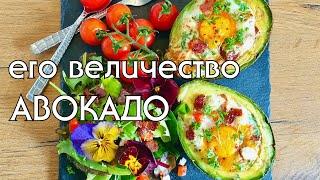 5 СПОСОБОВ ПОЛЮБИТЬ АВОКАДО // ЗАВТРАКИ, САЛАТЫ, СМУЗИ, СОУС ИЗ АВОКАДО // LOW CARB