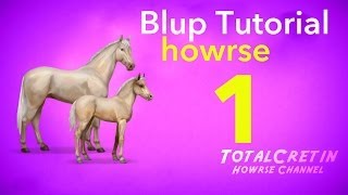 Howrse - Blup Tutorial Part 1